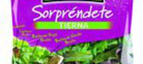 Florette amplía su gama con las nuevas ensaladas Sorpréndete