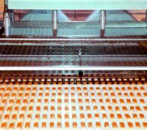 Natra ofrece a la suiza Barry Callebaut participar en su holding