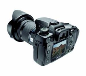 Fidelity y Otero culminan su concentración en Grupo Otero