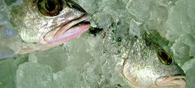 Celcamar entra en proceso de liquidación