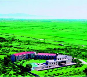 El Grupo Mas de Torrent vende el hotel Albons