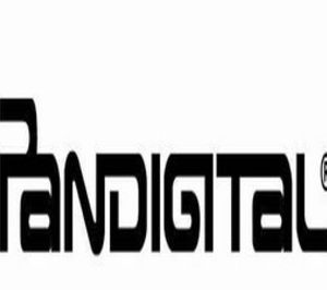 Pandigital estudia su entrada en el mercado español