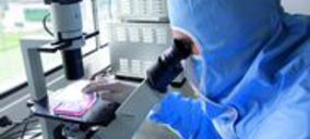 IMQ se incorpora al accionariado de Histocell