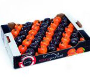 Exforpe lanza la gama premium Escrig Gourmet