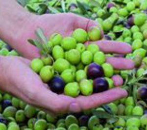 Conservas Rosselló triplica capacidad de producción