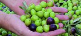 Conservas Rosselló triplica capacidad de producción