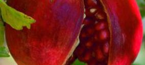 Los Chiguitos inicia el año con cambios en su accionariado