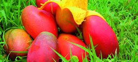 Trops obtiene luz verde para la construcción de su segunda planta