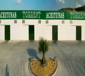 Aceitunas Torrent amplía instalaciones y proyecta nuevas inversiones