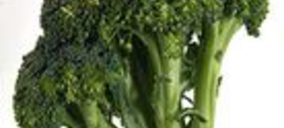 Congelados El Pedáneo entra en concurso