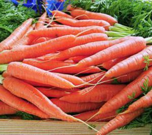 Tabuenca lanzará hortalizas ecológicas en verano