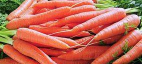 Tabuenca lanzará hortalizas ecológicas en verano