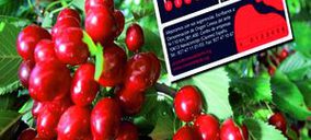 Las intalaciones de Agrupación de Cooperativas del Jerte sufren un incendio