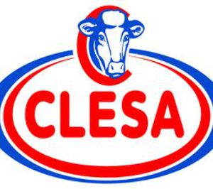 Las ventas de Clesa crecieron un 15,9% en 2009