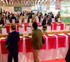 Favorecemos al máximo el encuentro entre oferta y demanda