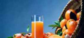 La fábrica de zumos de Zucasa inicia actividad