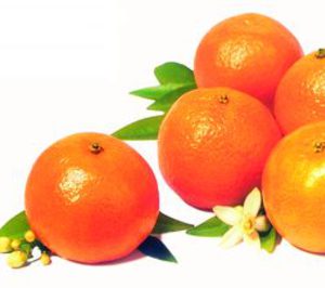 La producción de Palmanaranja se reduce un 26% esta campaña
