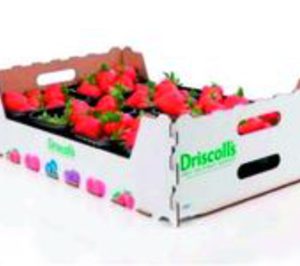 Obeikan se convierte en proveedor de Driscolls