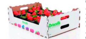 Obeikan se convierte en proveedor de Driscolls