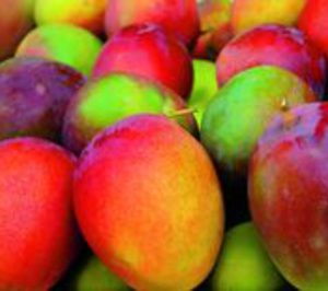 Trops preparada para comenzar las obras de su nueva planta