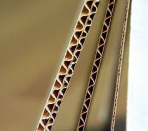 Rajapack compra Festa-Pack