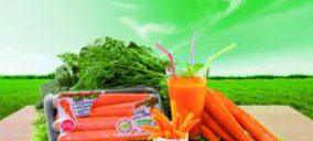 Tabuenca lanza zanahoria tierna