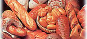 Panusa compra Panificadora Cotero y continúa desarrollando El Astillero