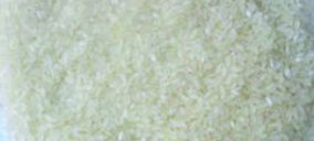 Arrocerías Rovira invirte 1,5 M en la implantación de nuevos silos