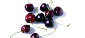 Agrupación de Cooperativas del Valle del Jerte incorpora una nueva calibradora