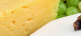 Emmi cierra 2010 con un crecimiento del 1,3%