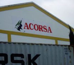 Hojiblanca invertirá este año 9 M€ en su planta de aceituna de mesa 