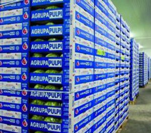 Agrupapulpi aumentó sus ventas un 32% en 2010