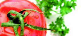 Alsat introduce mejoras en los procesos productivos en Don Benito