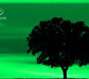 Corticeira Amorim crece un 10% en 2010