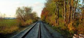 Aprobada la escisión de Renfe Mercancías en cuatro sociedades