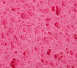 Procosur cierra 2010 con ventas estables