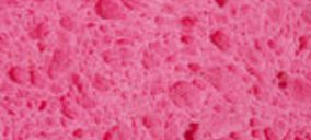 Procosur cierra 2010 con ventas estables