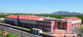 Solimar crece por encima del 11% en 2010 