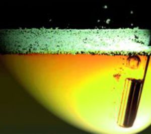 Los vinos de crianza biológica a estudio