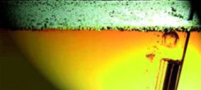 Los vinos de crianza biológica a estudio