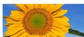 Cargill amplía capital en 15,24 M€ 