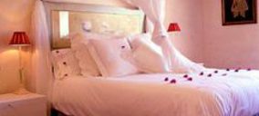 Holiday Park planea abrir en noviembre los Apartamentos Magnolia Garden