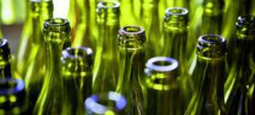 Vitroval creció un 22% en 2010