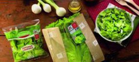 Artandi invertirá en sus líneas de producción