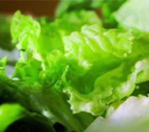 La IV gama avanza impulsada por la marca de distribuidor