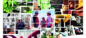 Veolia reducirá su presencia en Dalkia