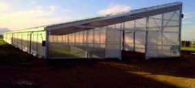 Grupo AgrupaEjido se alía con las renovables