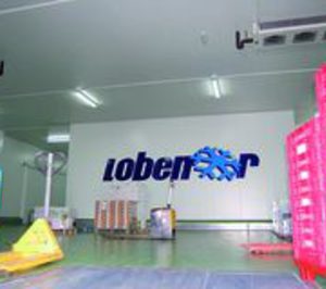 Lobenor se hace grande en el norte