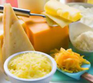 Quesos: Encuentran refugio en el canal libreservicio