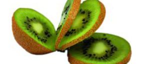 Kiwi Atlántico prevé ampliar sus mercados exteriores